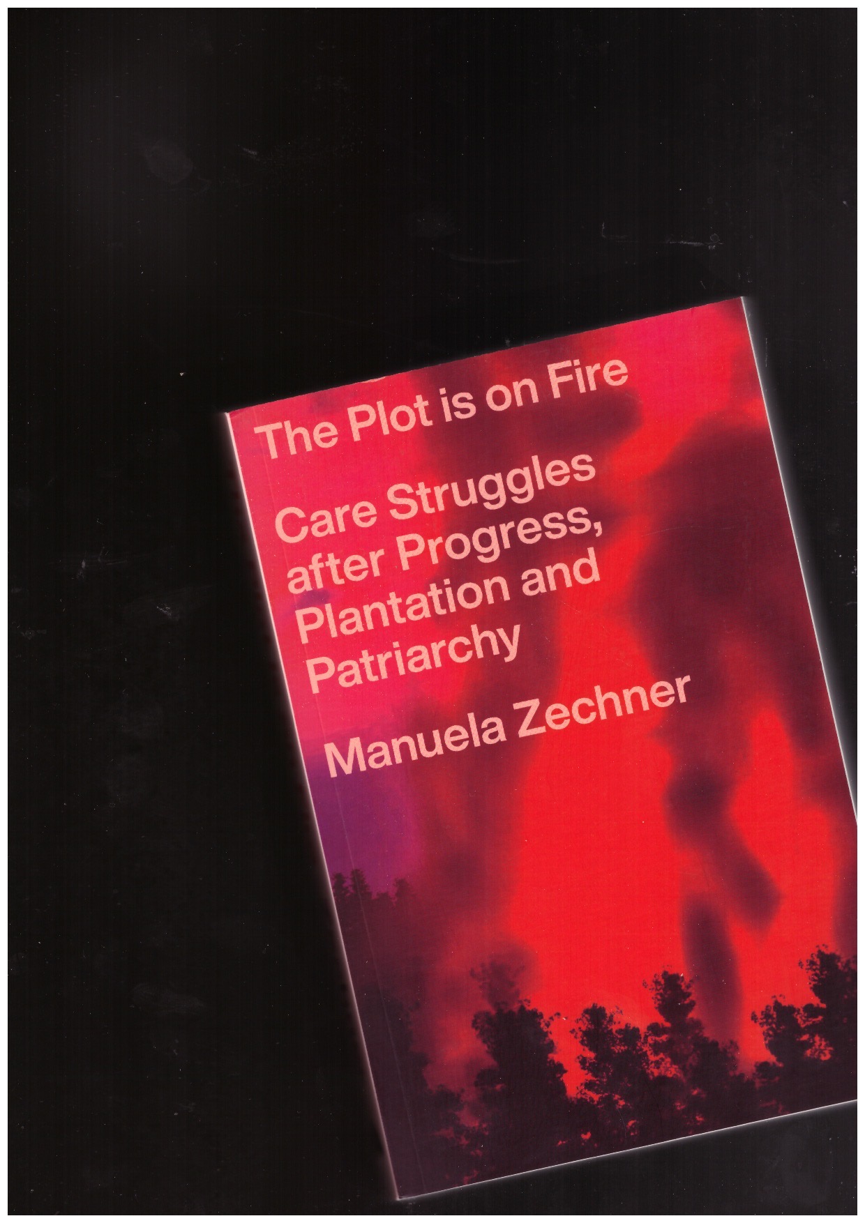 ZECHNER, Manuela - The Plot is on Fire. Care Struggles after Progress, Plantation and Patriarchy